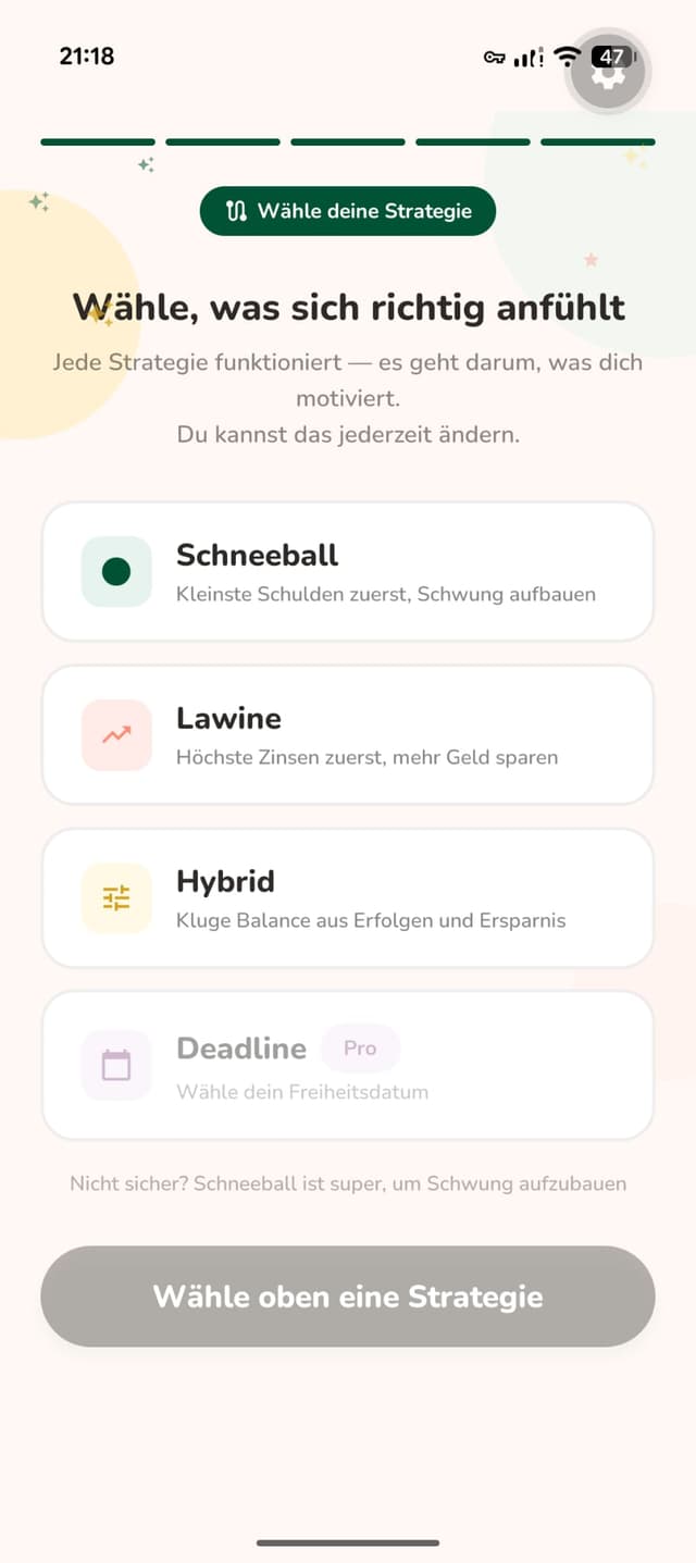 Payoff strategy recommendation screen