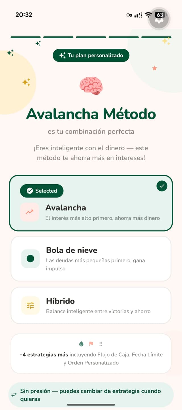 Payoff strategy recommendation screen