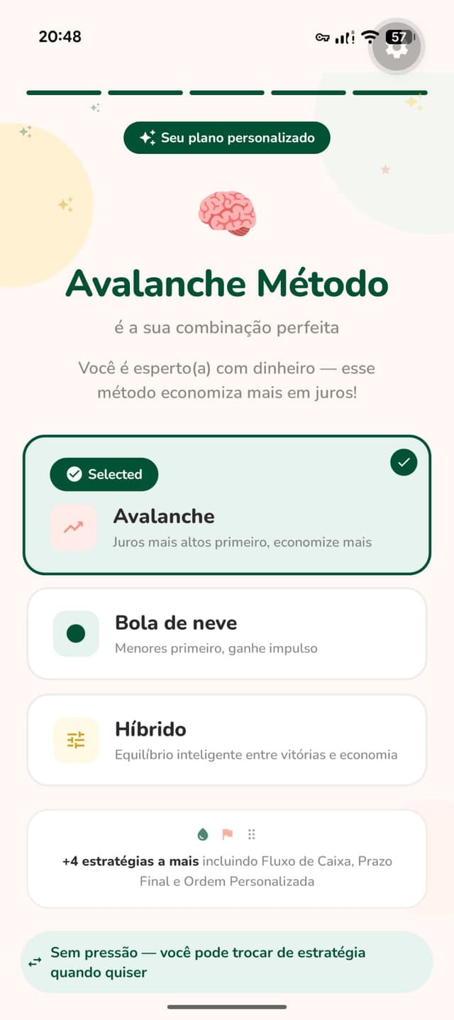 Payoff strategy recommendation screen